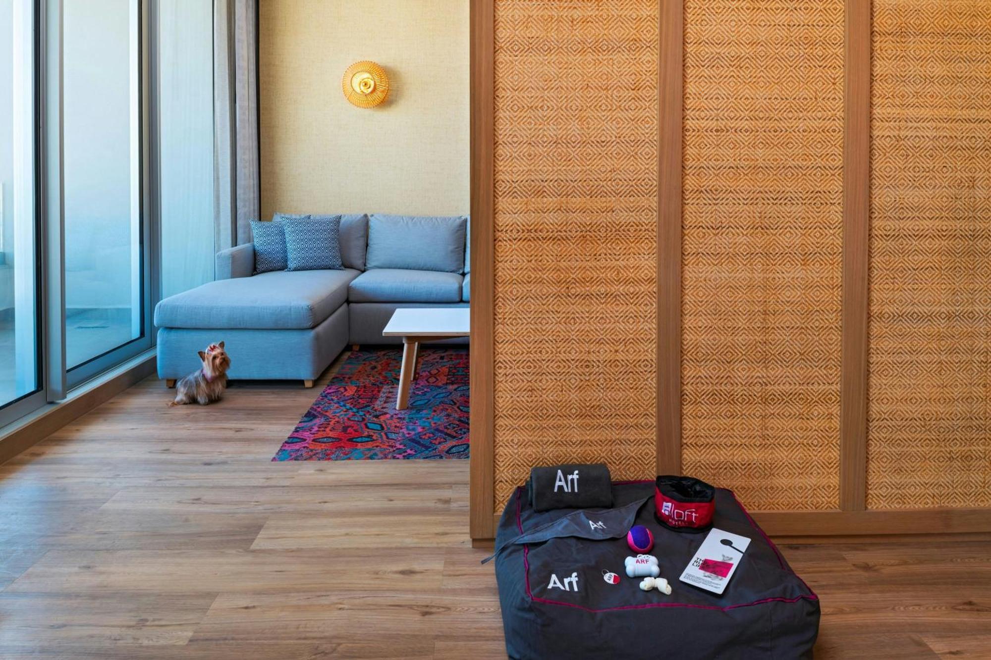 Aloft Playa Del Carmen Hotel ภายนอก รูปภาพ A room divider